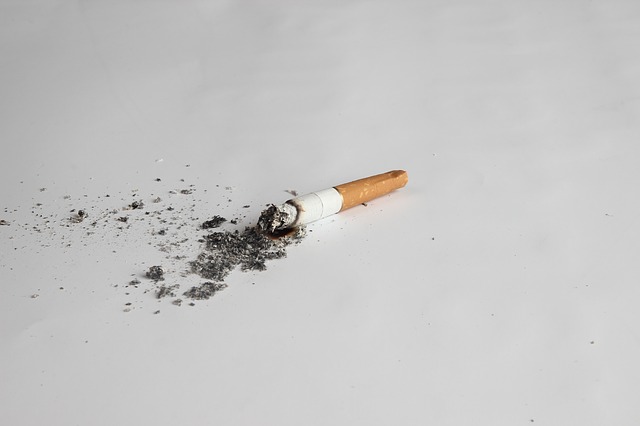 wypalony papieros