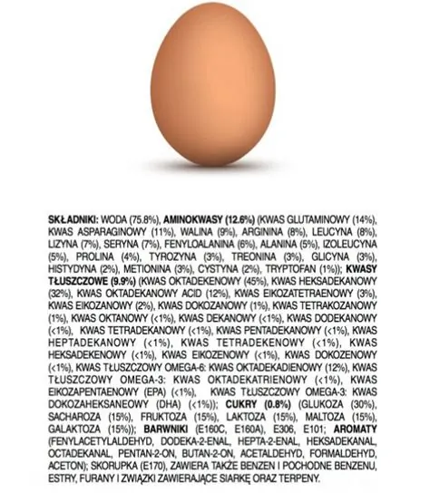jajko, skład jajka, chemiczny skład jajka