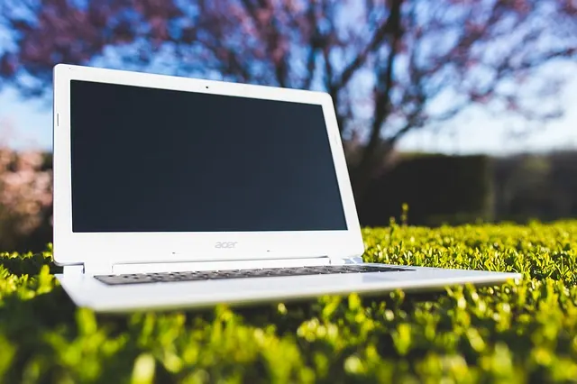 laptop na trawie