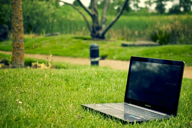 laptop na trawie