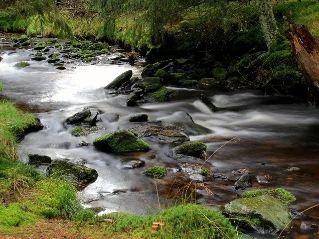 rzeka
